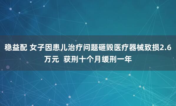 稳益配 女子因患儿治疗问题砸毁医疗器械致损2.6万元  获刑十个月缓刑一年
