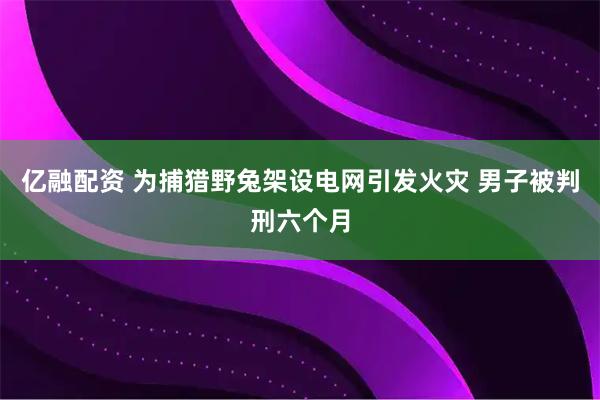 亿融配资 为捕猎野兔架设电网引发火灾 男子被判刑六个月