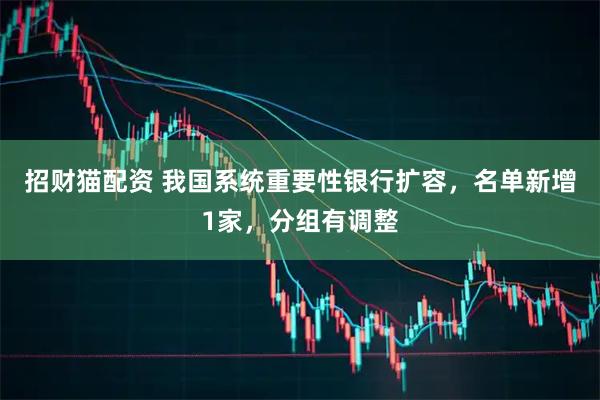 招财猫配资 我国系统重要性银行扩容，名单新增1家，分组有调整