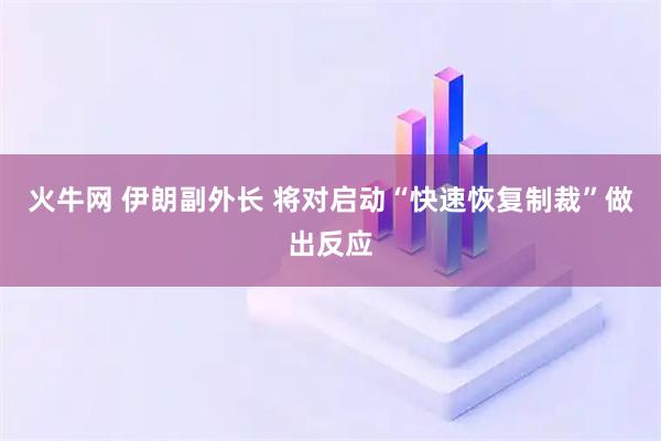 火牛网 伊朗副外长 将对启动“快速恢复制裁”做出反应