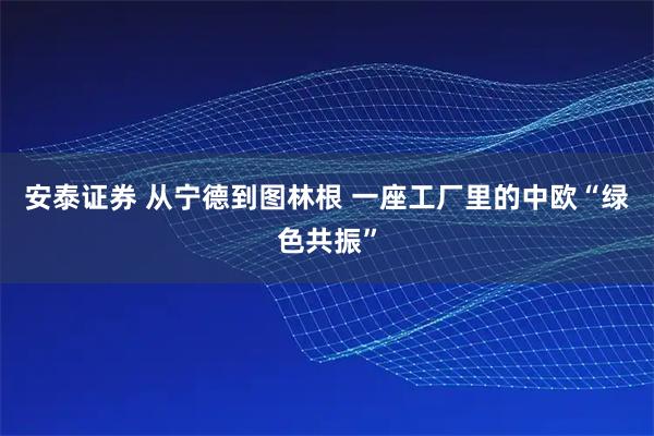 安泰证券 从宁德到图林根 一座工厂里的中欧“绿色共振”