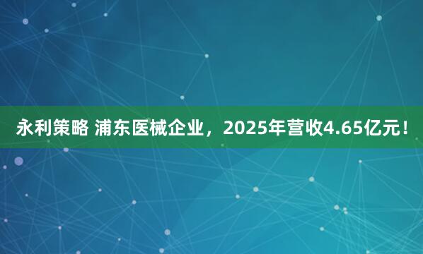 永利策略 浦东医械企业，2025年营收4.65亿元！