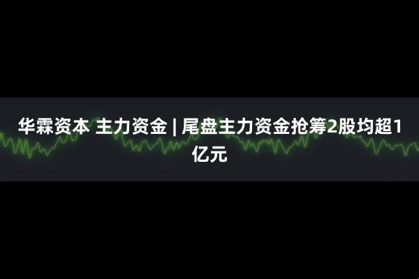 华霖资本 主力资金 | 尾盘主力资金抢筹2股均超1亿元