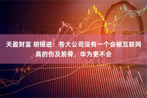 天盈财富 胡锡进:各大公司没有一个会被互联网真的伤及筋骨,华为更不会